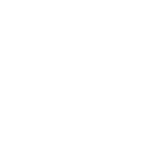 Logo Roel Blanco